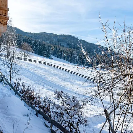 Modern Chalet With Garden In Salzburgerland Near The Katschberg Ski Area *
